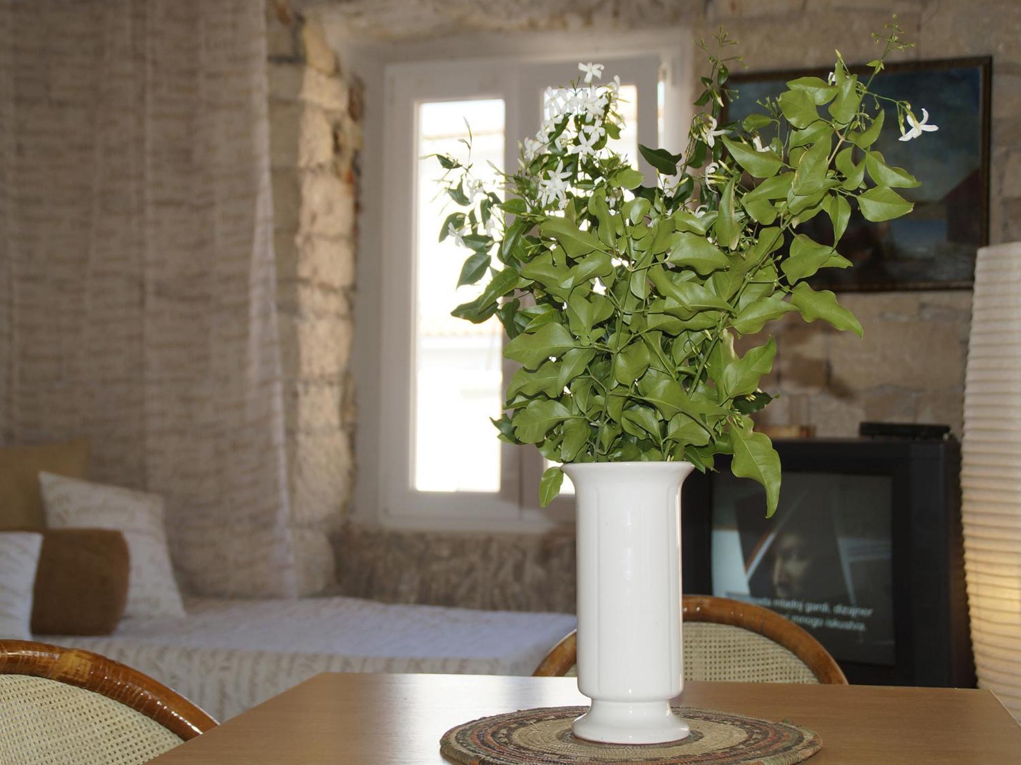 Apartments Stelina Korcula Town Room photo